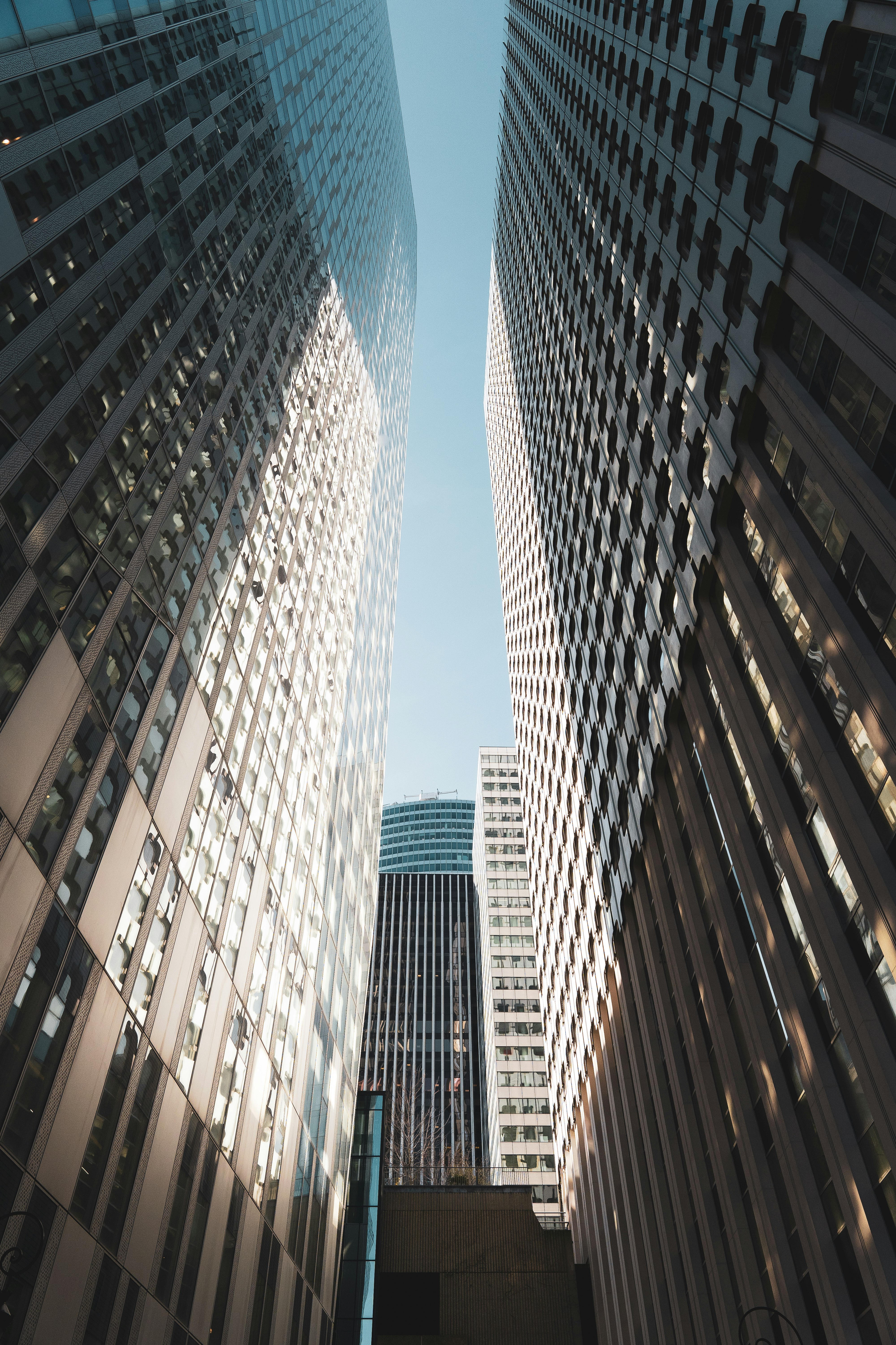 brown and white high rise buildings